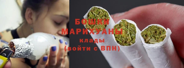 PSILOCYBIN Верхний Тагил