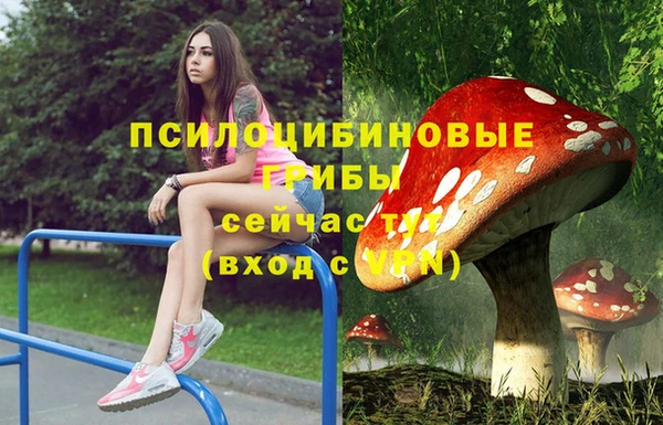 соль ск Бородино