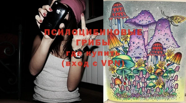 PSILOCYBIN Верхний Тагил