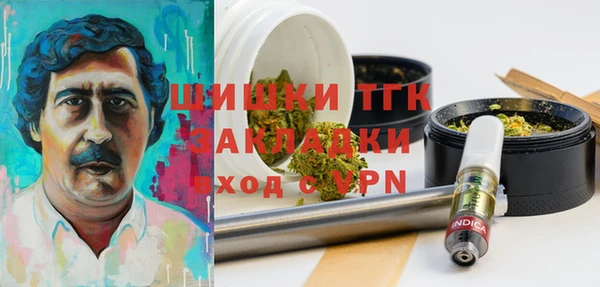 гидра Верея